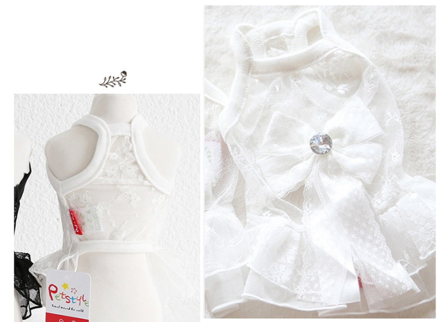 Robe de mariée en dentelle pour petit animal de compagnie, style été