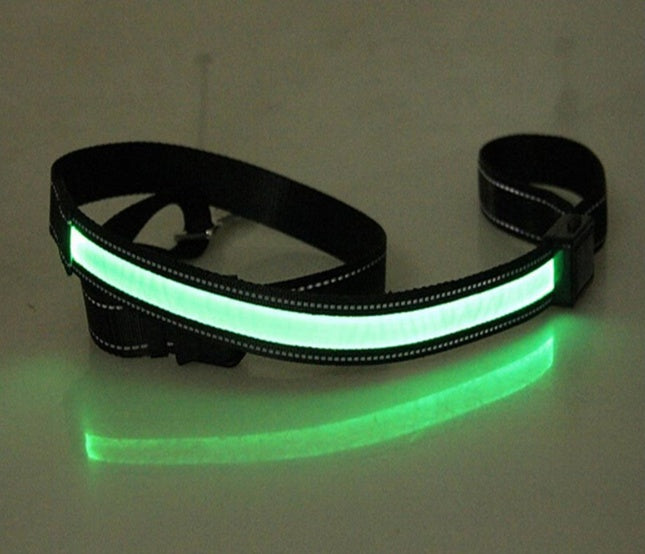 Collier pour chien fluorescent