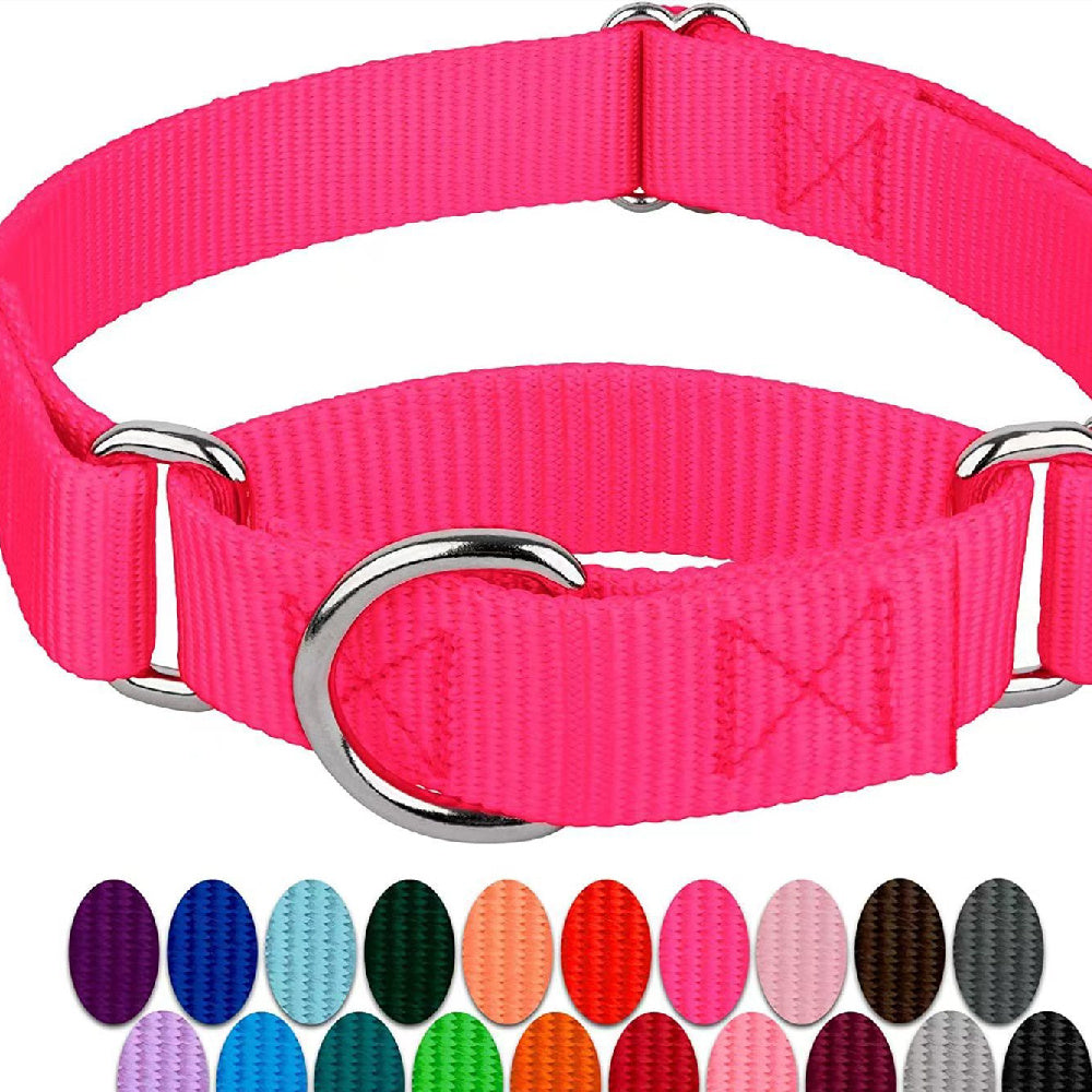 Collier pour chat et chien, harnais pour chien réglable en nylon anti-explosion avec laisse, fournitures pour animaux