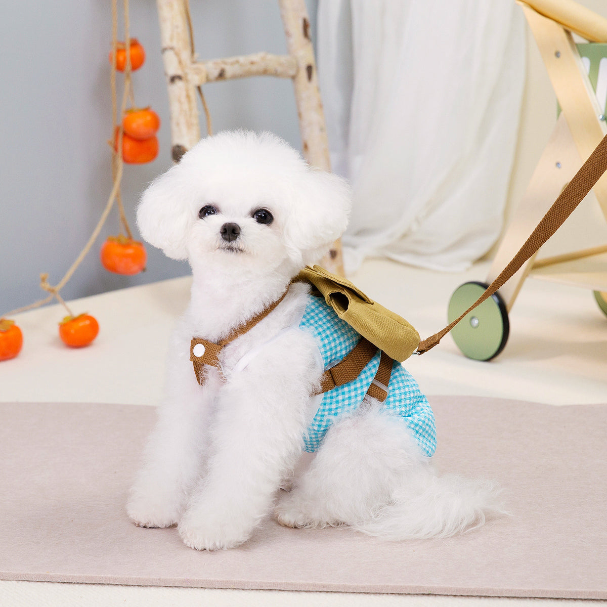 Backpack Pet Dog Dog Backpack Pack Pet Clothing
