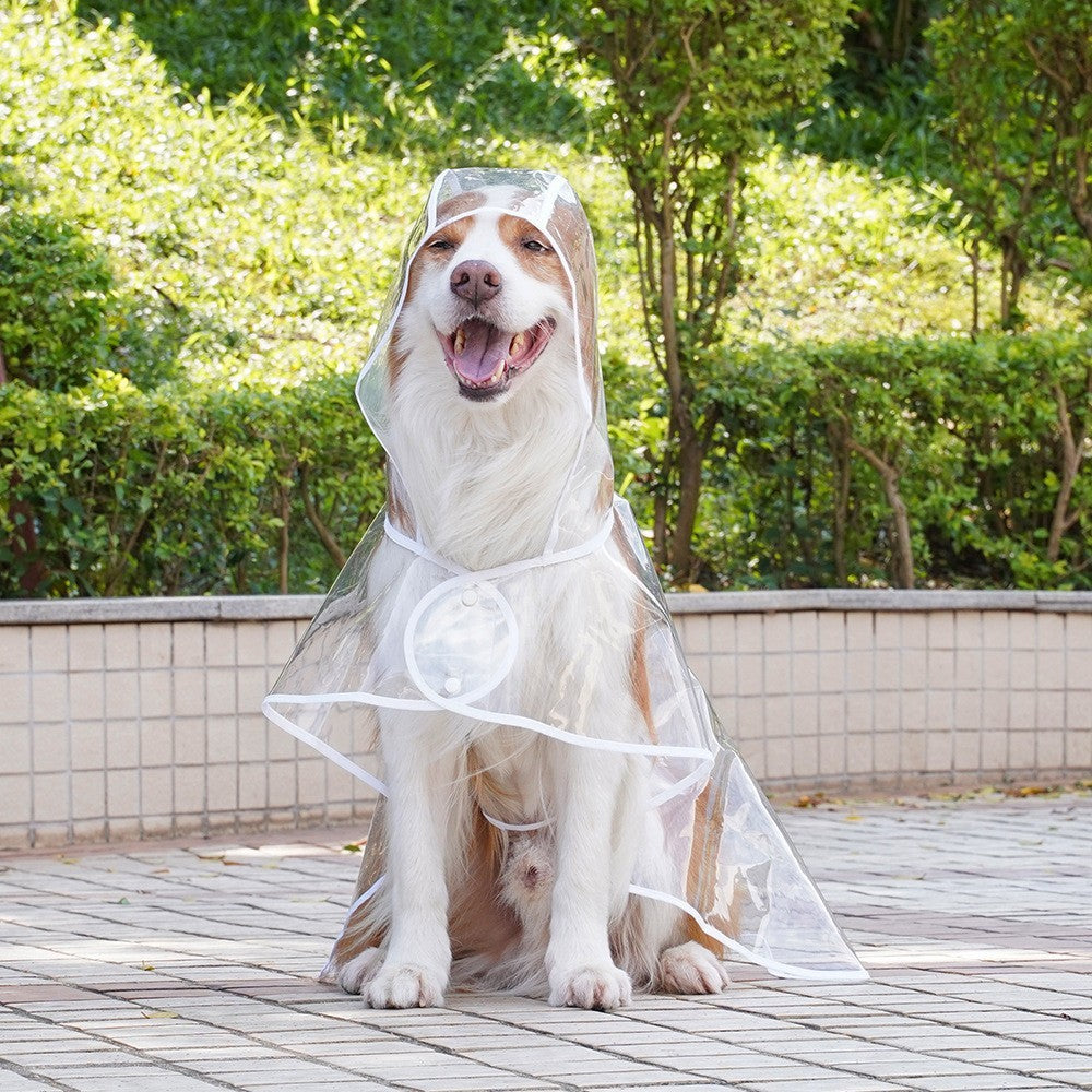 Imperméable transparent pour chiens de petite et moyenne taille, vêtement de pluie pour animaux avec capuche, matériaux légers et respirants, idéal pour les promenades en extérieur