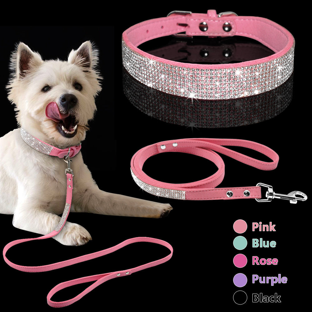 Collier de chien chaud