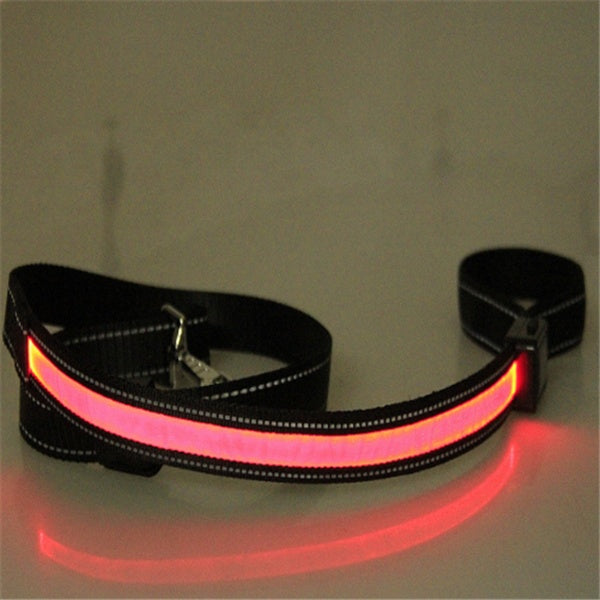 Collier pour chien fluorescent