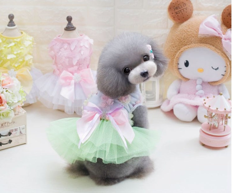 Jupe pour chien princesse tutu printemps-été robe Teddy en maille fine vêtements d'été pour chien