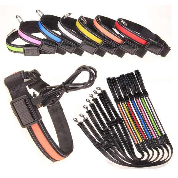 Collier pour chien fluorescent