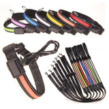 Fluorescent dog collar