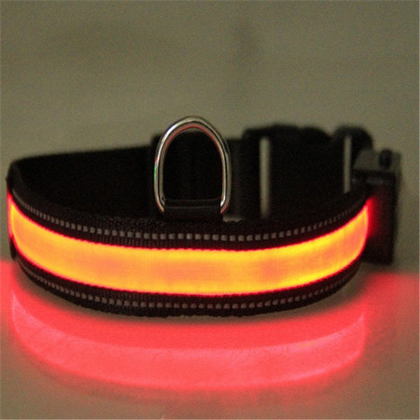 Collier pour chien fluorescent