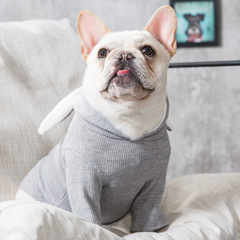 Vêtements pour animaux de compagnie pour chiens Vêtements de printemps et d'automne