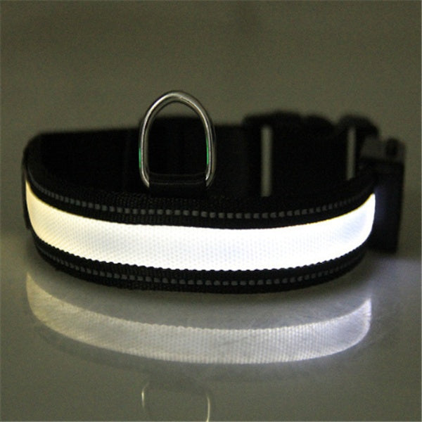 Collier pour chien fluorescent