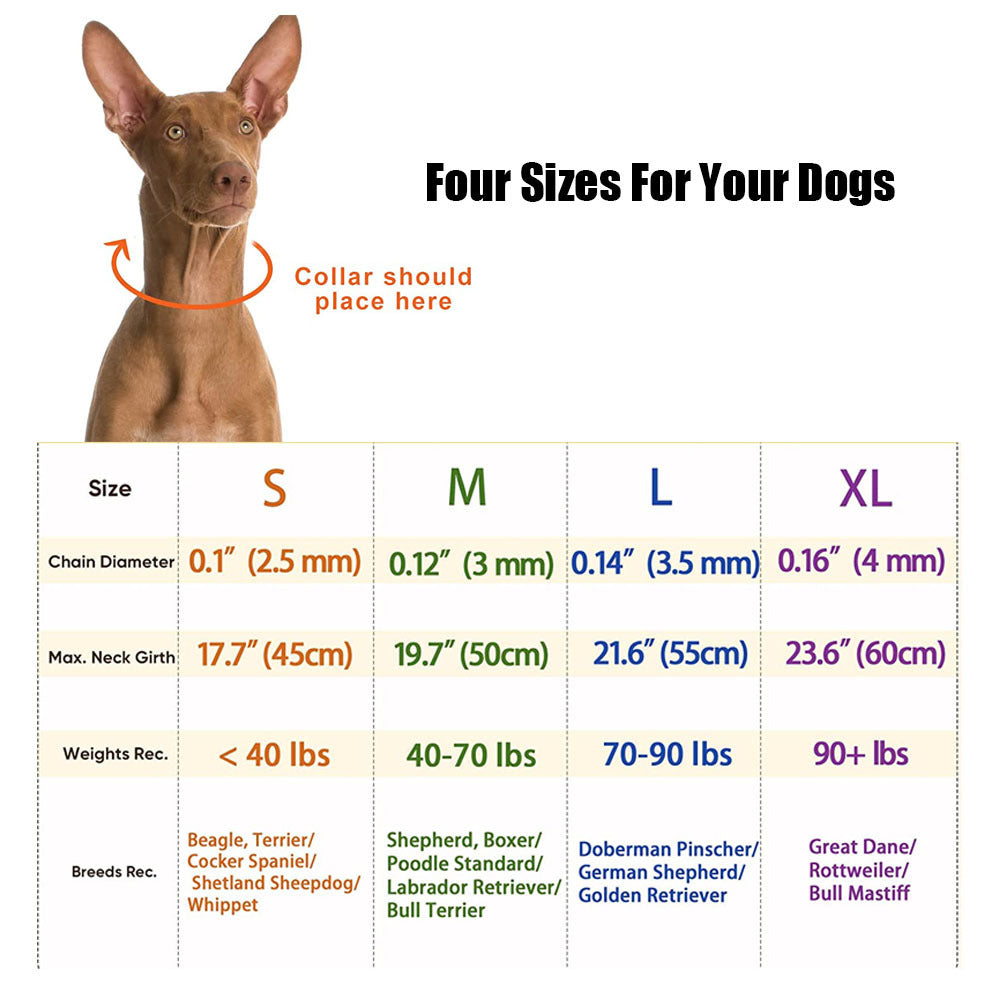 Chain Dog Training Stimulation Dog Collar Pet Supplies