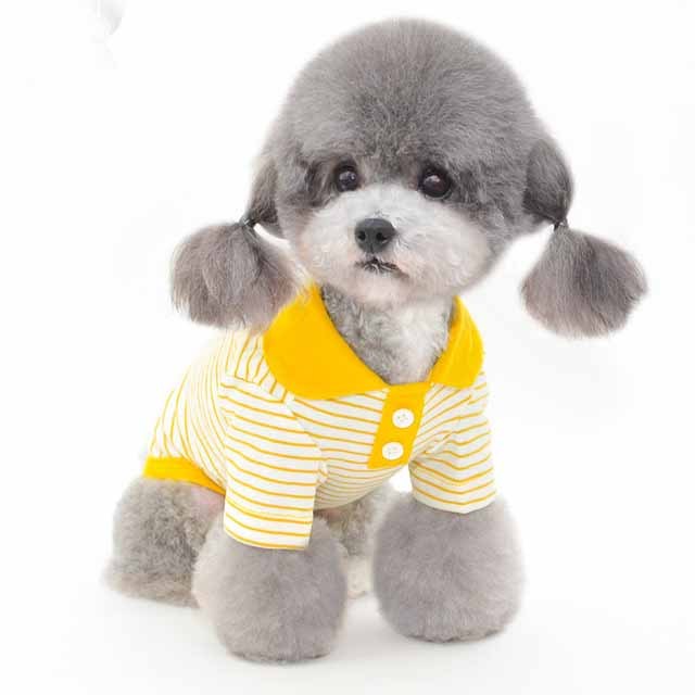 Vêtements pour animaux