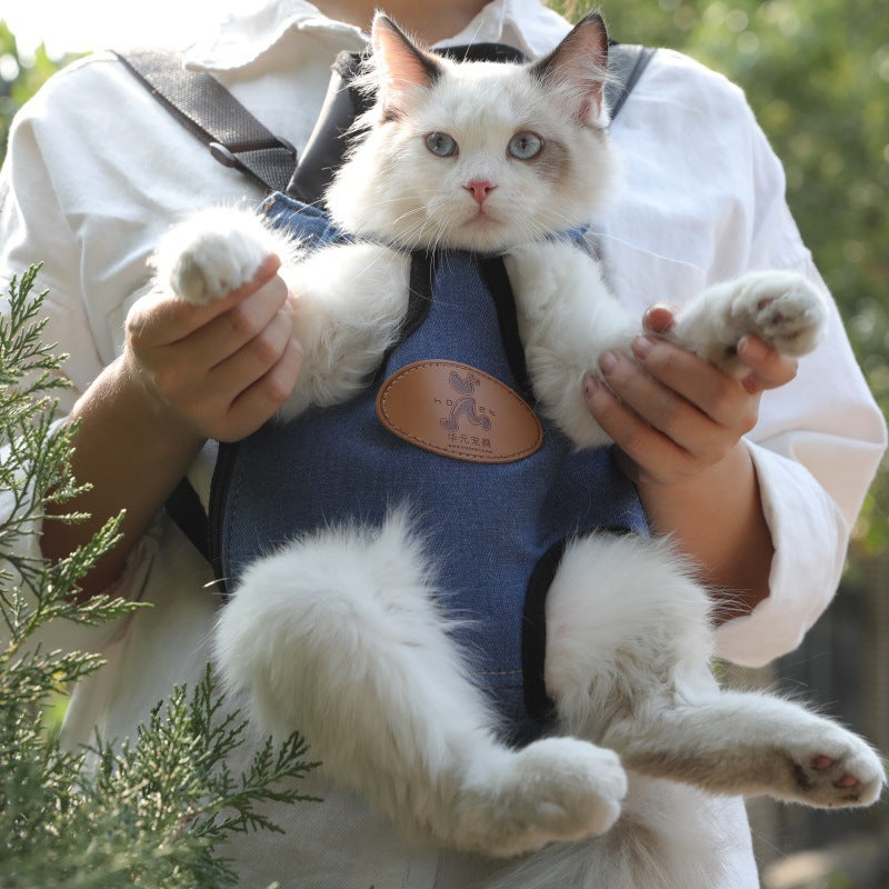 Sac à dos de transport pour chat pour les sorties printanières