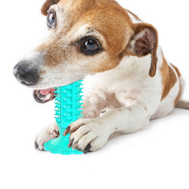 Brosse à Dents pour Chien Nettoyage des Dents Ventouse Bâtonnet Molaire Jouet à Mâcher pour Chien