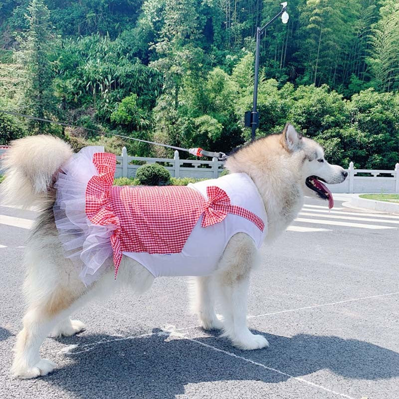 Vêtements pour chien Costume de princesse pour chien Labrador Golden Retriever Grands vêtements pour chien