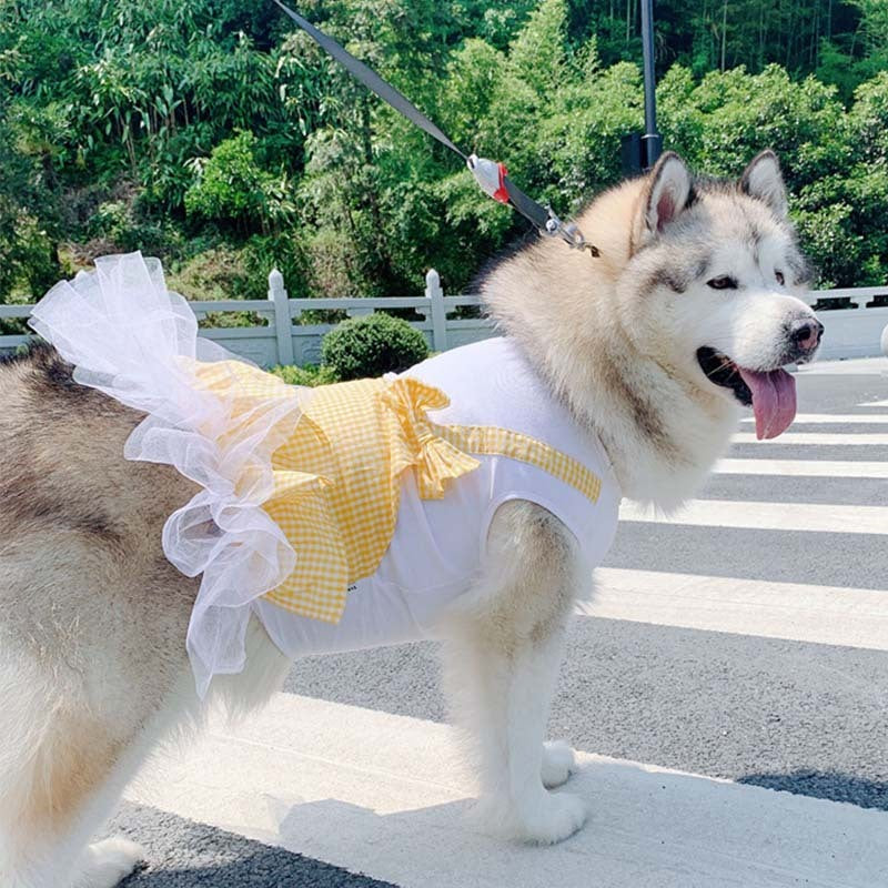 Vêtements pour chien Costume de princesse pour chien Labrador Golden Retriever Grands vêtements pour chien
