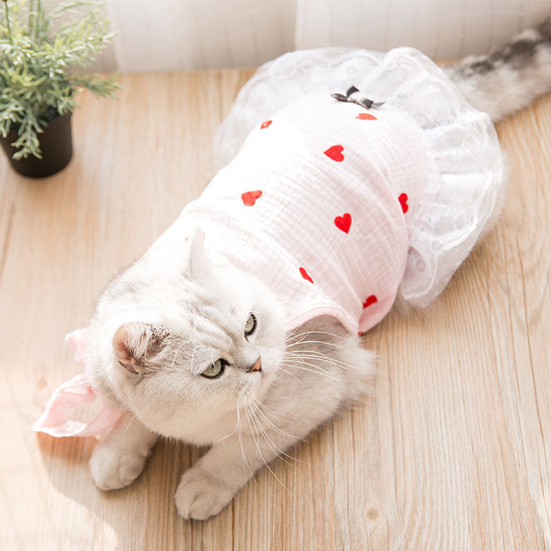 Jupe pour chaton, chiot ou animal de compagnie, style British Shorthair, mignonne et respirante