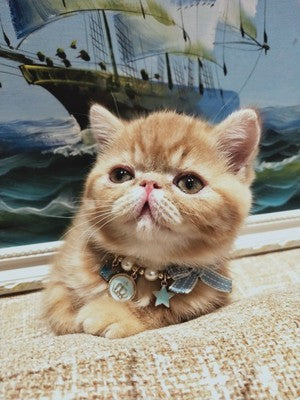 Collier pendentif clochette avec nœud papillon pour animal de compagnie spécial Nouvel An