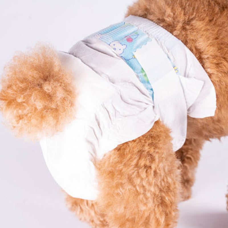 Couches pour animaux, protection anti-harcèlement, culottes physiologiques