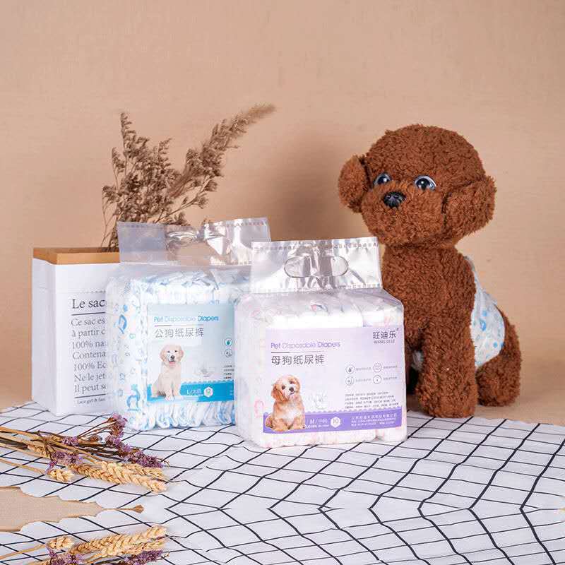 Couches pour animaux, protection anti-harcèlement, culottes physiologiques