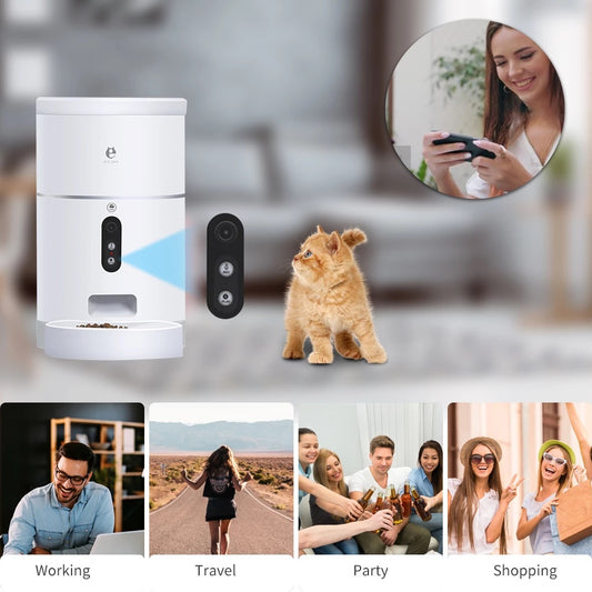 Distributeur de nourriture automatique pour chien et chat avec caméra grand angle, contrôle par application, accessoires pour animaux