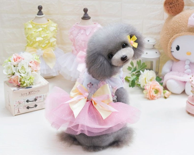 Jupe pour chien princesse tutu printemps-été robe Teddy en maille fine vêtements d'été pour chien