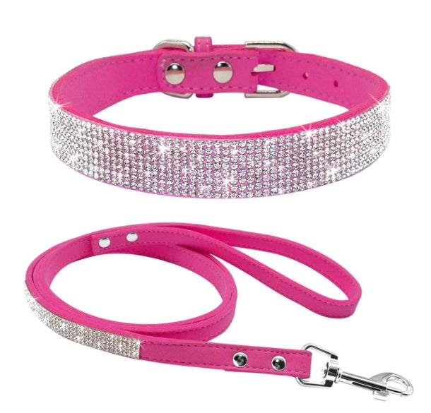 Collier de chien chaud