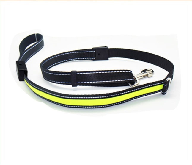Collier pour chien fluorescent