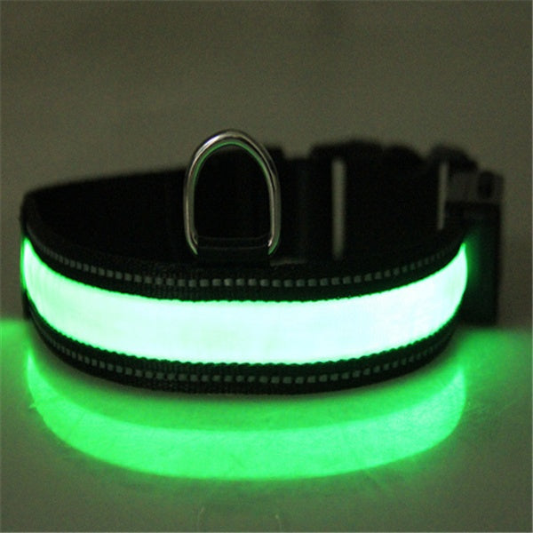 Collier pour chien fluorescent