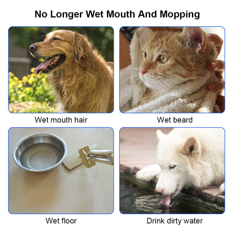 Bol à eau flottant pour chat et chien de 1,5 L, gamelle anti-éclaboussures, abreuvoir lent, fontaine pour animaux de compagnie en ABS et PP, fournitures pour chiens