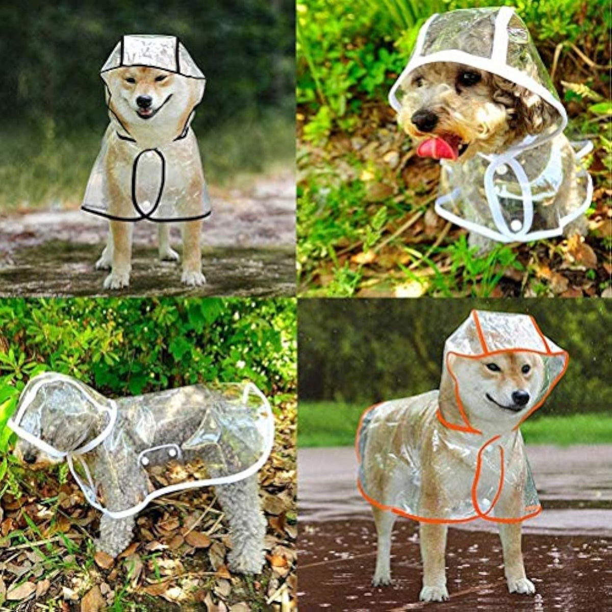 Imperméable transparent pour chiens de petite et moyenne taille, vêtement de pluie pour animaux avec capuche, matériaux légers et respirants, idéal pour les promenades en extérieur