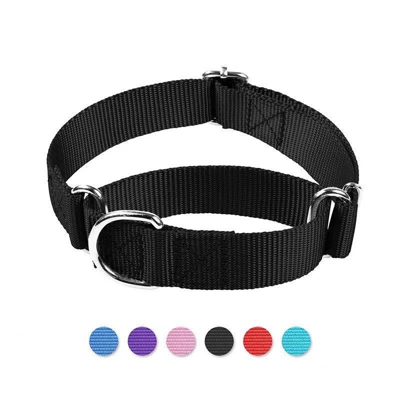 Collier pour chat et chien, harnais pour chien réglable en nylon anti-explosion avec laisse, fournitures pour animaux