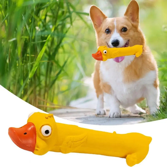 Jouet pour chien en latex pour le grincement des dents, jouet durable pour la santé dentaire, jouet couineur en forme de canard jaune mignon pour le soulagement de l'ennui et le soin des dents