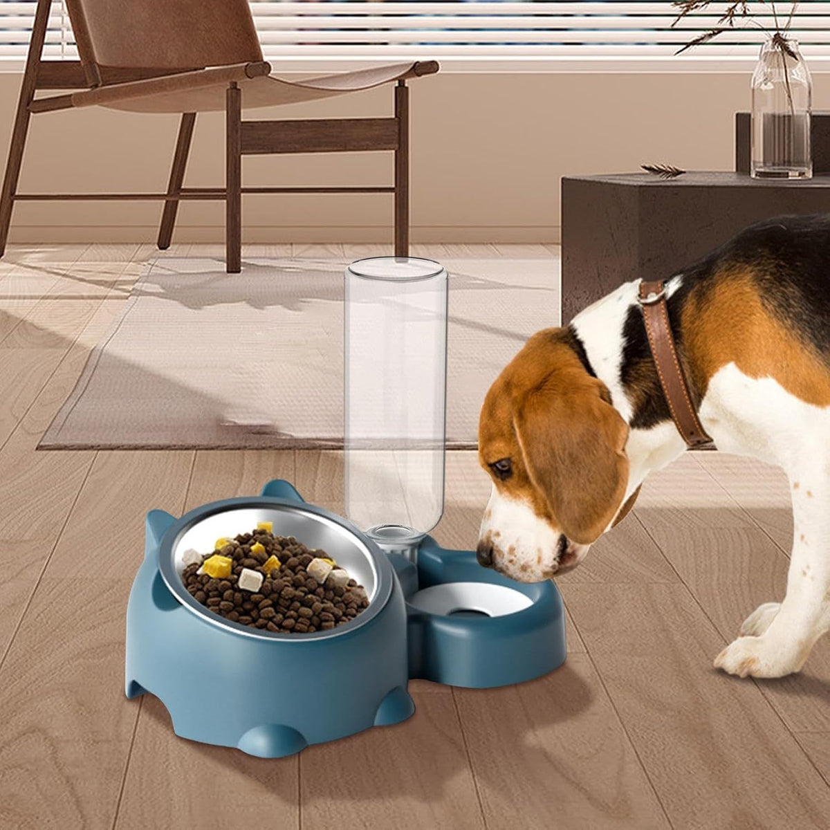 Ensemble gamelles pour chat – Gamelle inclinée à 16 degrés pour chien avec distributeur d'eau, gamelle amovible pour animaux de compagnie, gamelle pour boire et manger pour chien, gamelle amovible pour chats et chiens