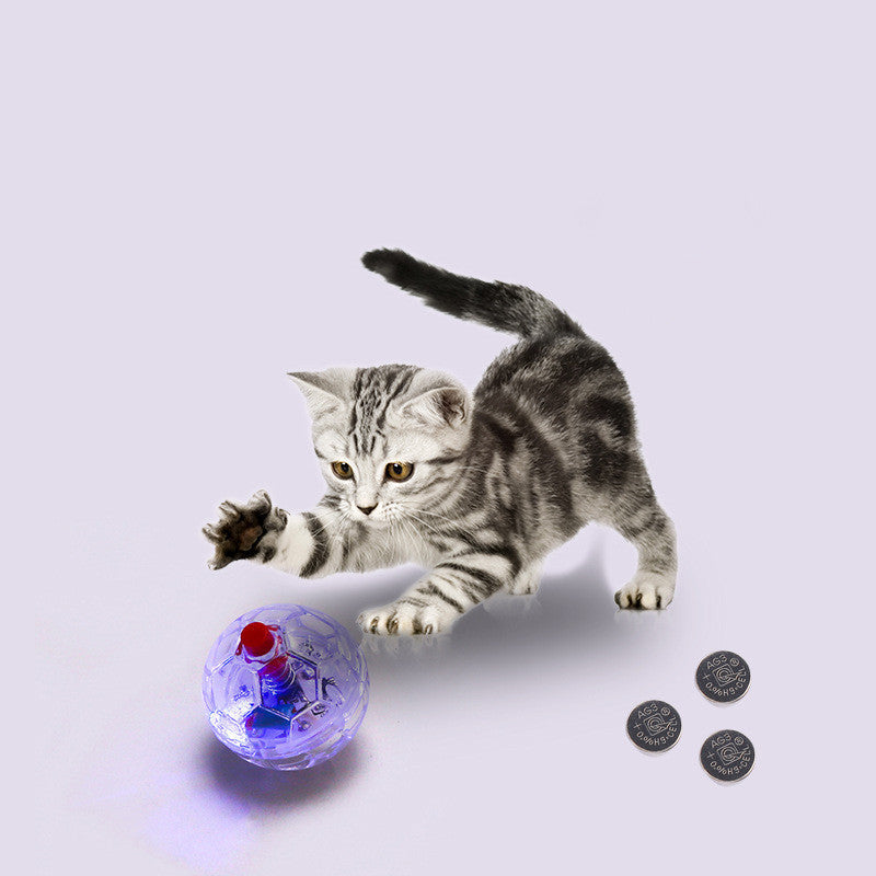 Chat Chien Jouet Balle Nouvelle Mode Lumineux Transparent en Plastique Balle Jouet Interactif pour Animaux Drôle Entraînement Chat GlowBalls Jouets Produits pour Animaux de Compagnie