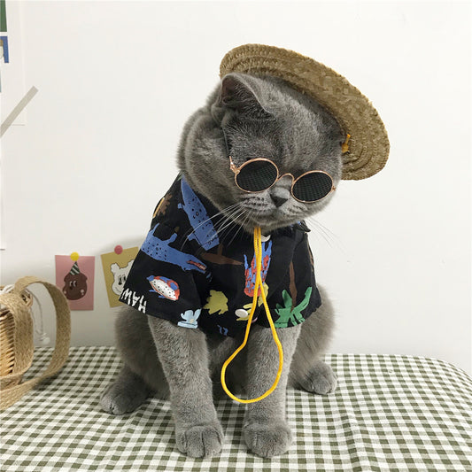 Vêtements pour chats