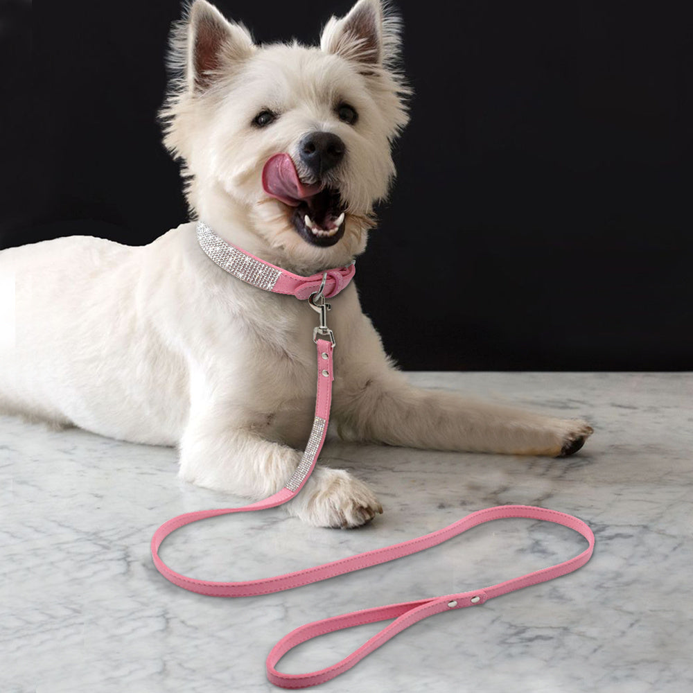Collier de chien chaud