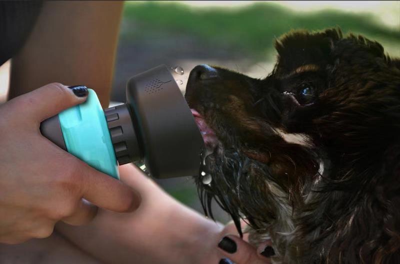 Bouteille d'eau pliable pour chien, gourde de voyage pour animaux, distributeur d'eau pour chien
