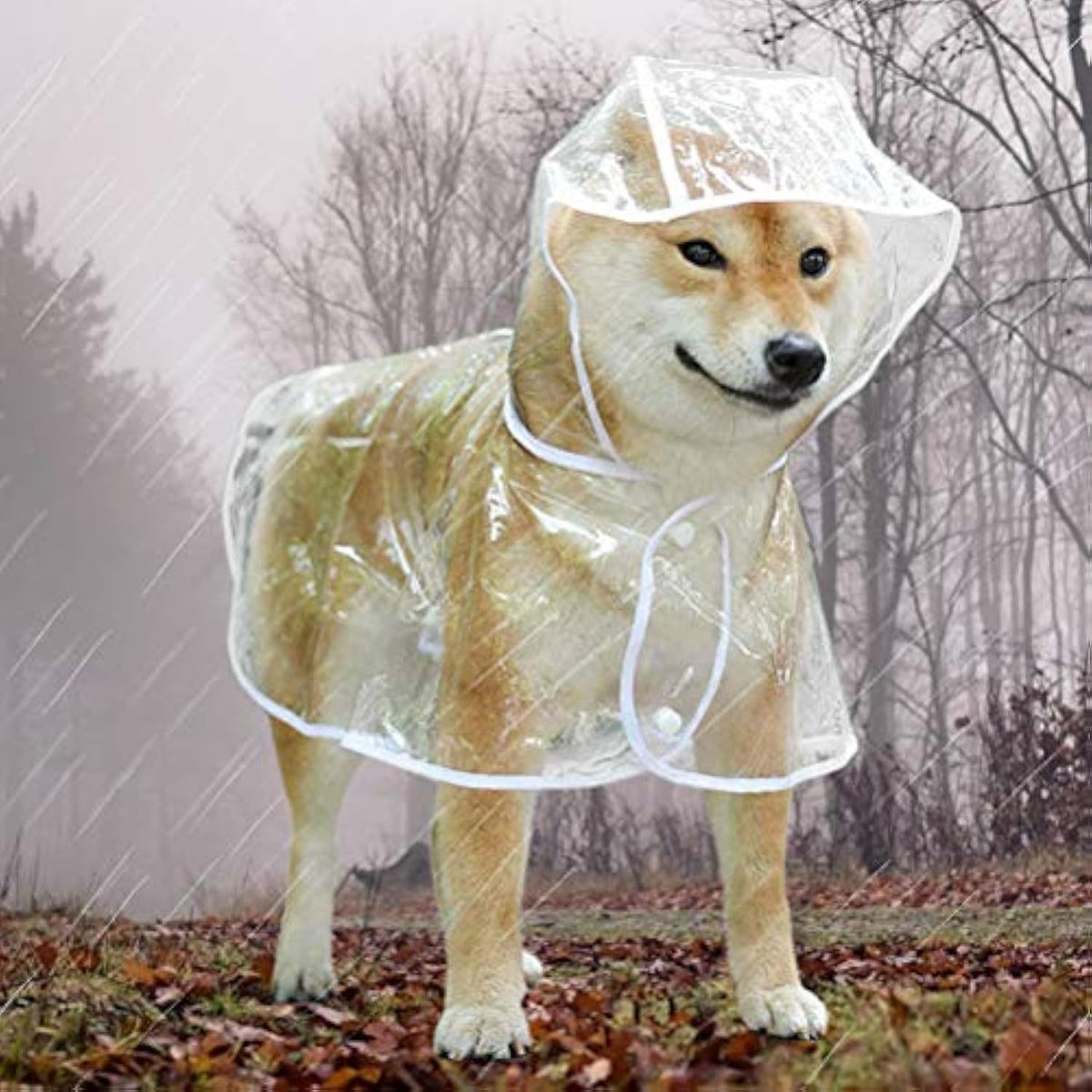 Imperméable transparent pour chiens de petite et moyenne taille, vêtement de pluie pour animaux avec capuche, matériaux légers et respirants, idéal pour les promenades en extérieur