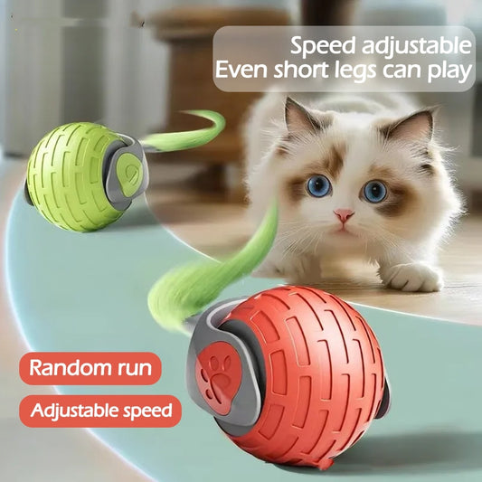 Nouveaux Jouets Interactifs pour Chat, Balle Roulante Électrique Automatique pour Chats, Chaton et Animaux de Compagnie, Jouet Intelligent Rechargeable par USB pour Chat, Produits pour Animaux