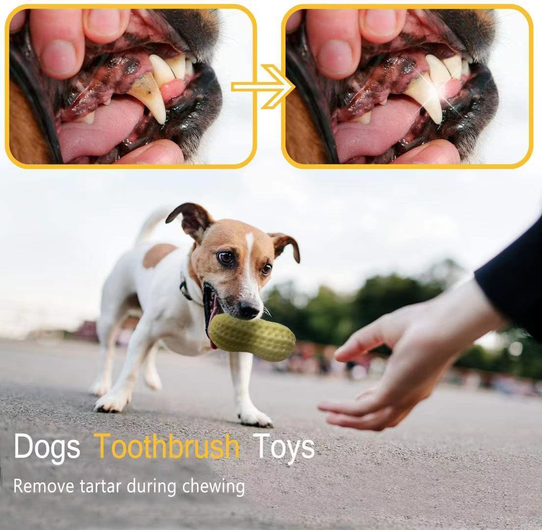 Jouet couineur amusant pour chiens de petite et moyenne taille, jouet à mâcher en caoutchouc résistant aux morsures pour chiots et chats, nettoie les dents