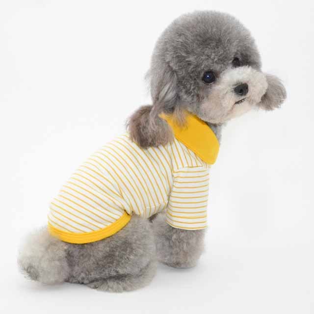 Vêtements pour animaux