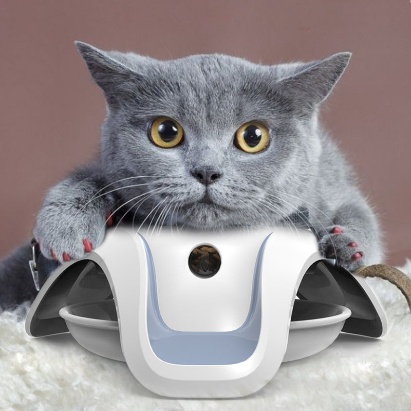 Jouet distributeur de nourriture pour chat