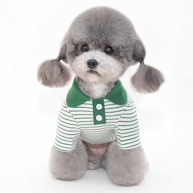 Vêtements pour animaux