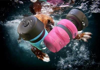 Bouteille d'eau pliable pour chien, gourde de voyage pour animaux, distributeur d'eau pour chien