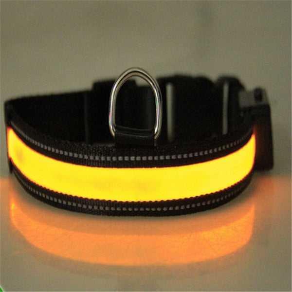 Collier pour chien fluorescent