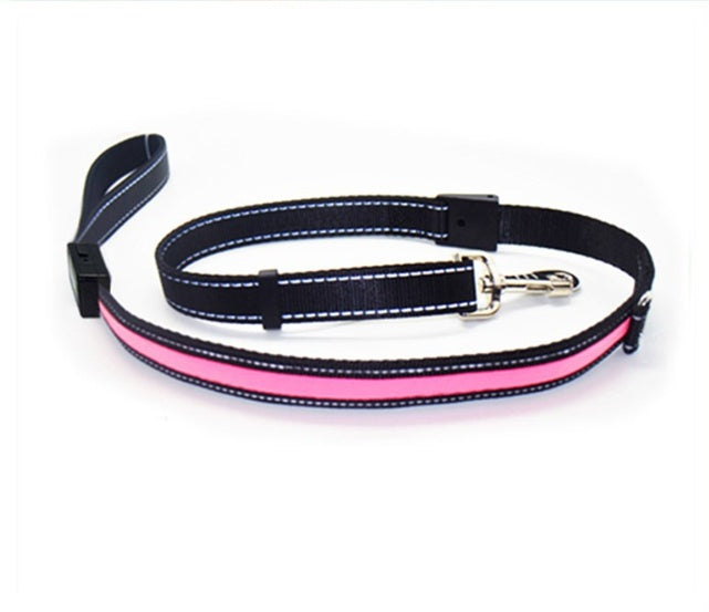 Collier pour chien fluorescent