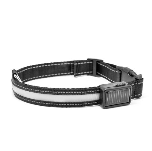 Collier pour chien fluorescent