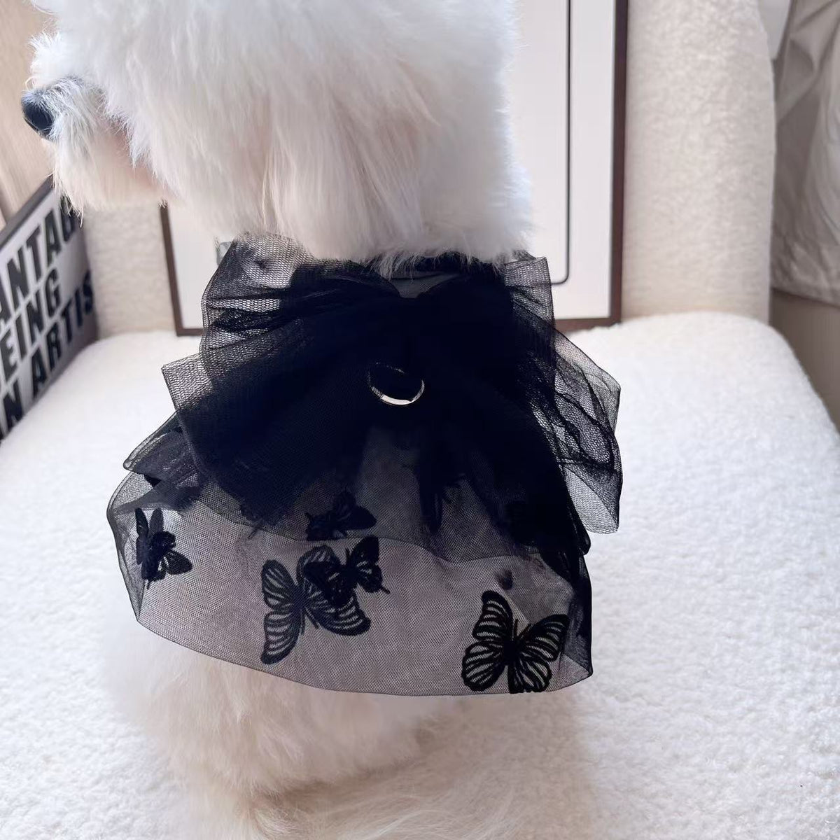 Vêtements pour chien et chat Jupe en tulle de princesse pour animaux
