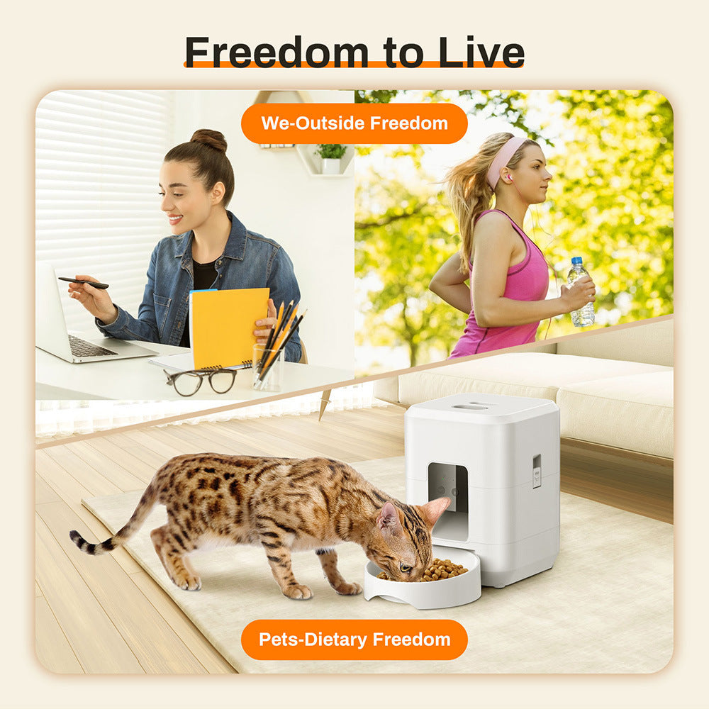 Distributeur automatique pour animaux de compagnie 2L, Wi-Fi avec programmateur, pour chien