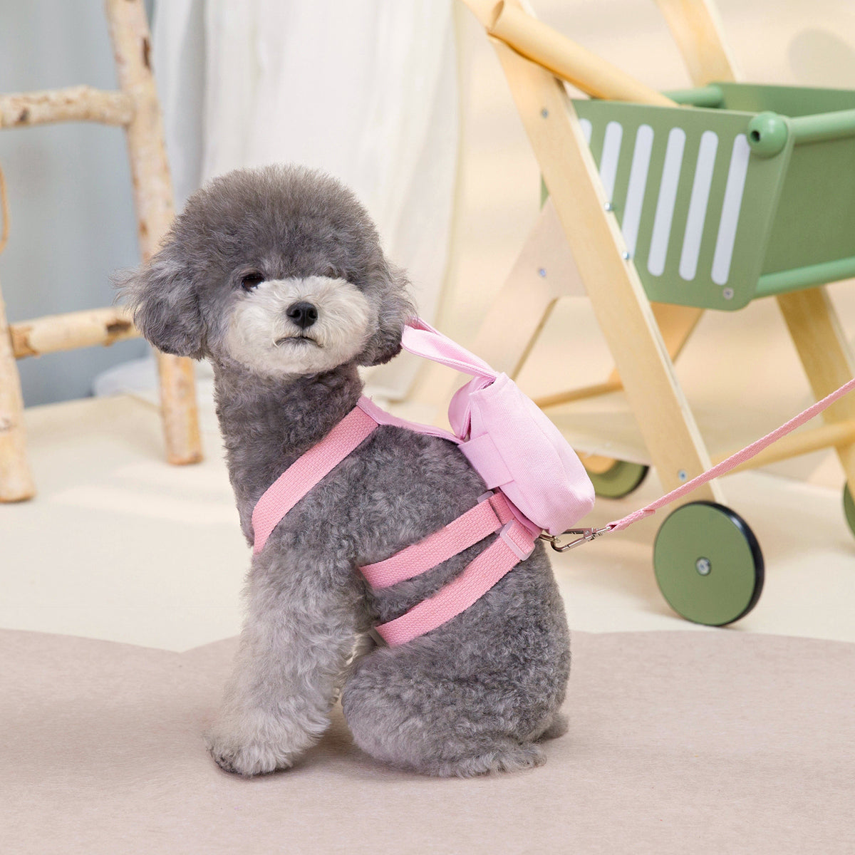 Backpack Pet Dog Dog Backpack Pack Pet Clothing